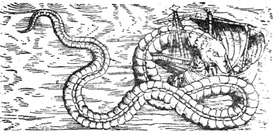 Кит-змея, или морская змея, по описанию Олауса Магнуса