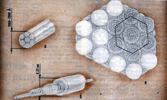 Схема строения трубчатой кости