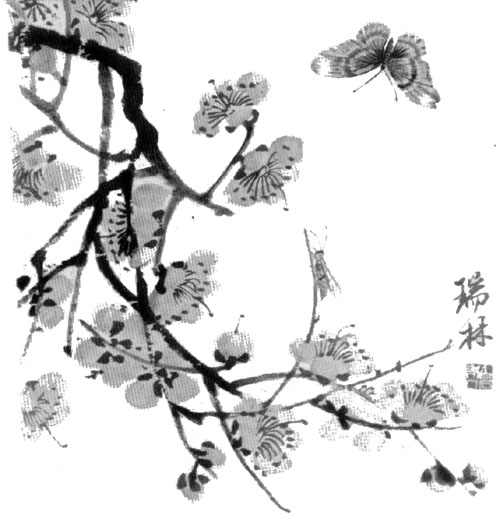 Ци Байши (1860-1957). Бабочка и цветущая слива